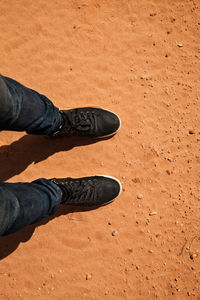 Low section of man standing on land