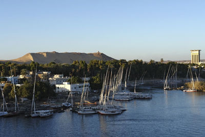 Sailboats moored in marina