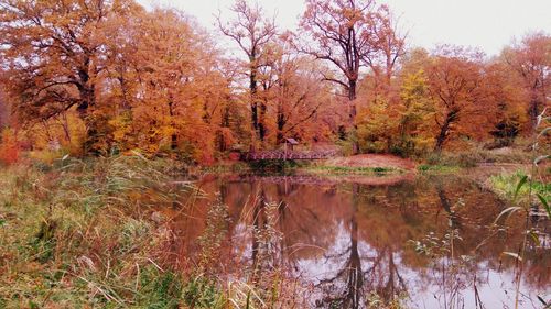 Reflection of trees in lake against sky