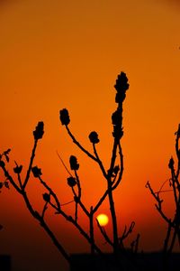 Low angle view of sky at sunset