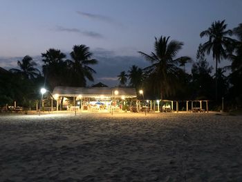 Palm trees on beach at night