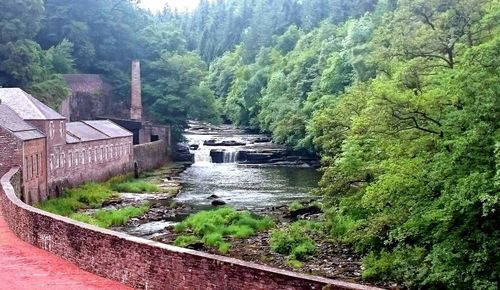 Scenic view of river with trees in background