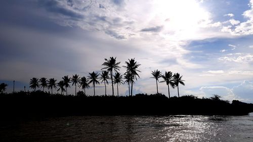 Silhouette palm trees against sky during sunset