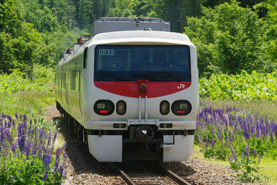 Train on railroad track