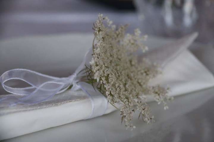 CLOSE-UP OF RINGS ON FLOWER