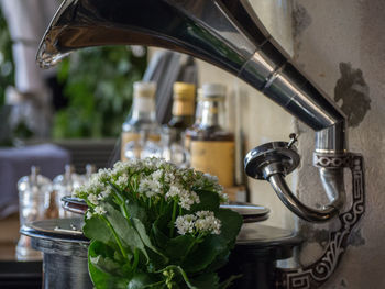 Close-up of drink on table