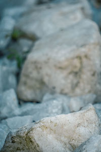 Close-up of rocks by water