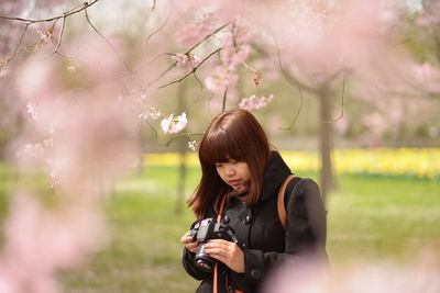 Woman photographing while standing amidst cherry blossoms at park