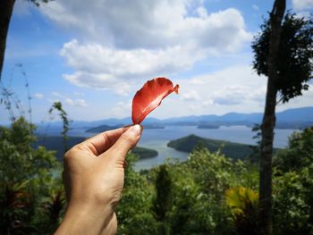 Cropped image of hand holding red leaf against sky