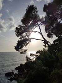 Silhouette tree by sea against sky