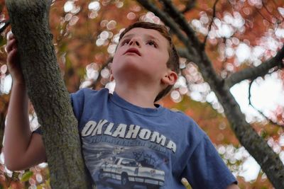 Low angle view of boy against tree