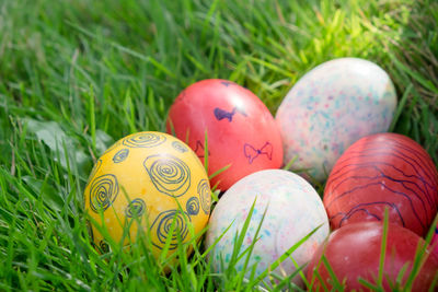 Close-up of colorful easter eggs in grass