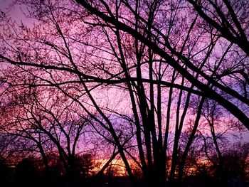 Low angle view of silhouette bare trees against sky during sunset