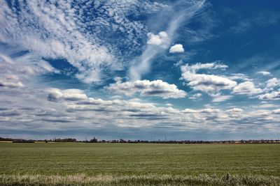 Scenic view of agricultural field against sky