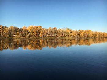 Reflection of trees in lake against clear blue sky