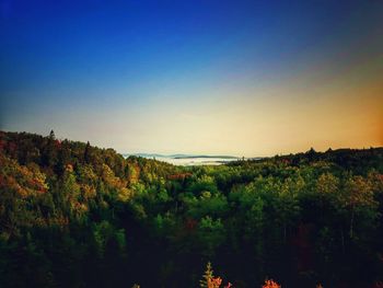 Scenic view of lake in forest against clear sky