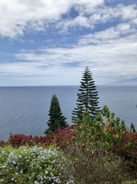 Scenic view of sea against sky