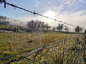 Close-up of spider web on barbed wire fence against sky