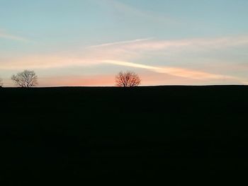 Silhouette trees on field against sky at sunset