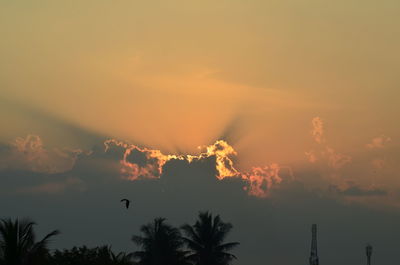 Low angle view of silhouette trees against sky during sunset