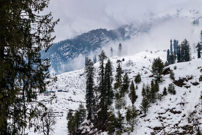 Solang valley, manali, himachal pradesh during winter