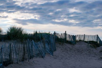 Panoramic view of wooden posts on beach against sky