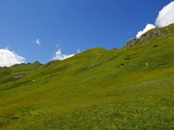 Scenic view of grassy field against sky
