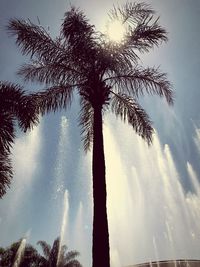 Low angle view of palm tree against sky