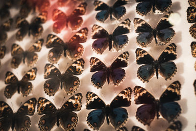 Full frame shot of heart shape decoration