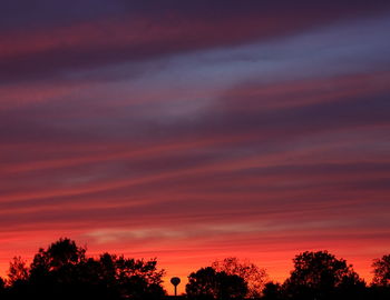 Silhouette of trees at sunset