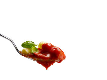 Close-up of red chili pepper against white background