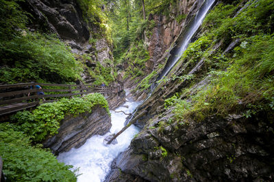 Stream flowing through rocks in forest