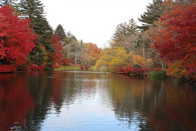 Scenic view of lake by trees during autumn