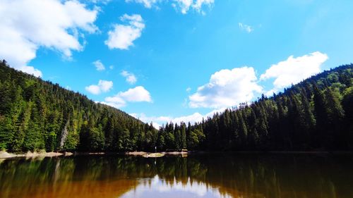 Scenic view of lake in forest against sky