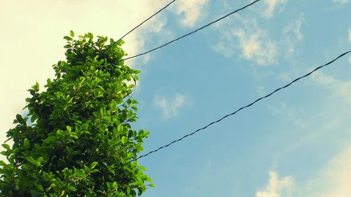 Low angle view of electricity pylon