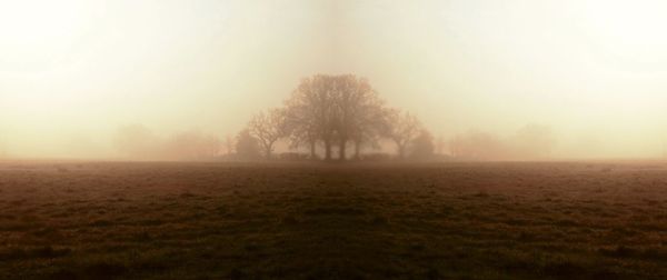 Scenic view of landscape in foggy weather