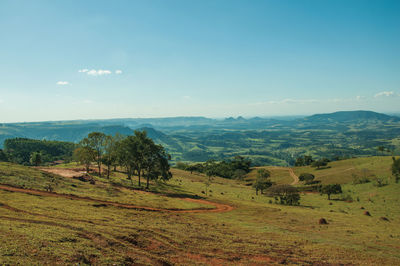 Meadows and trees in a green valley with mountainous landscape, in pardinho, brazil.