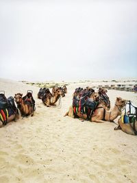 Panoramic view of people on beach against sky