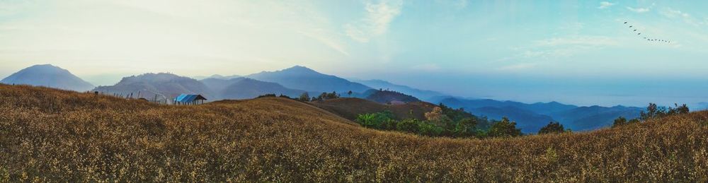 Panoramic view of agricultural field against sky