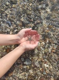 High angle view of person hand on rock