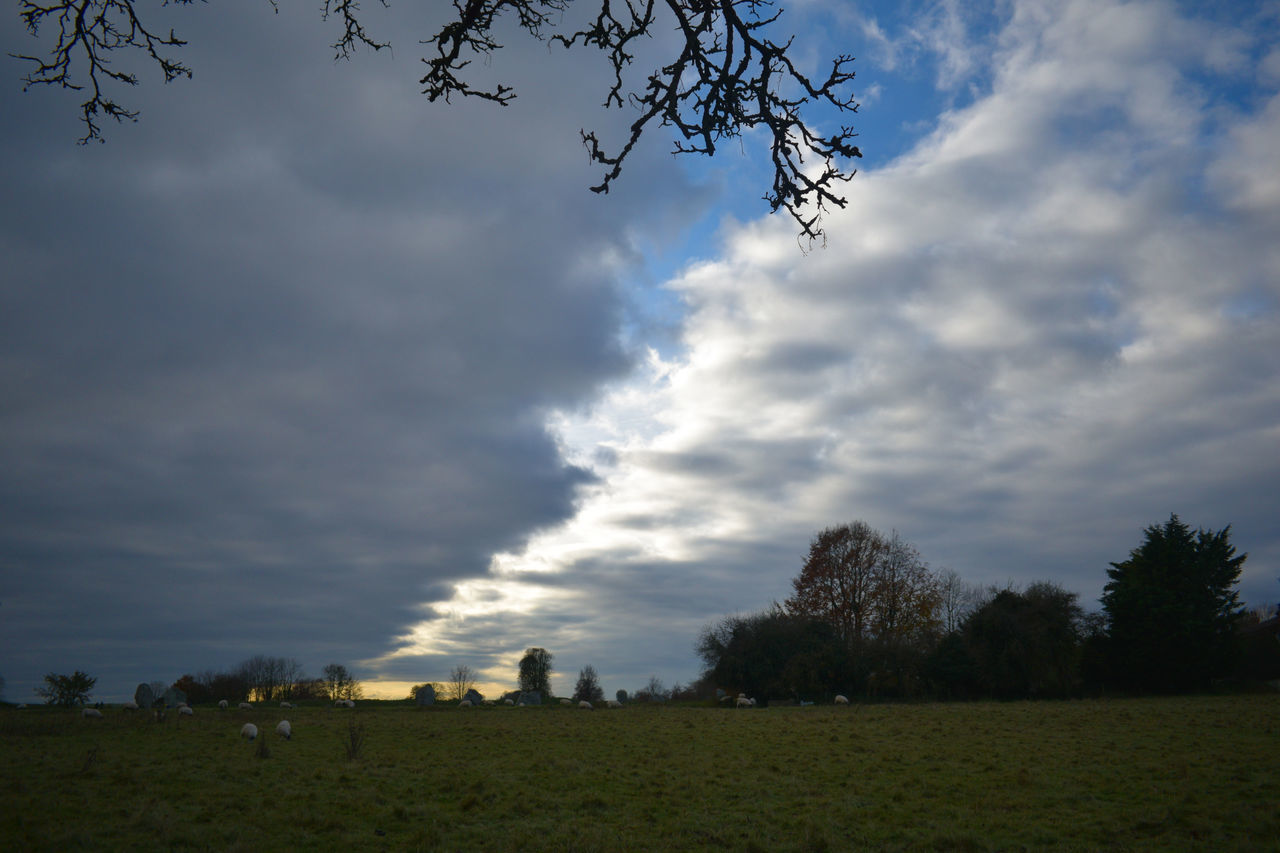 SCENIC VIEW OF LAND AGAINST SKY