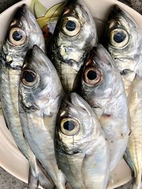High angle view of fish for sale in market
