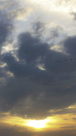 Low angle view of silhouette birds flying against sky during sunset