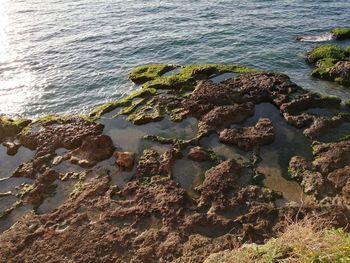 Seashore, jablah, syria