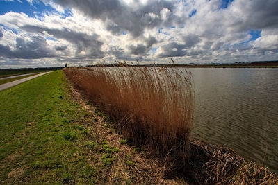 Scenic view of field against sky