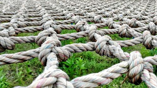 Full frame shot of ropes tied on field