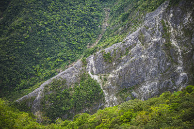 Scenic view of waterfall