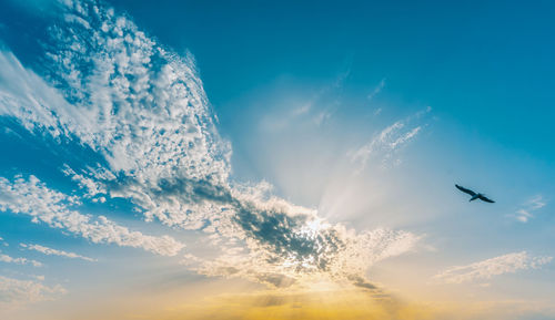 Low angle view of birds flying against blue sky