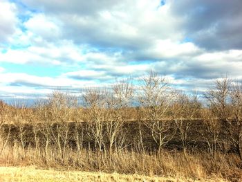Scenic view of field against cloudy sky