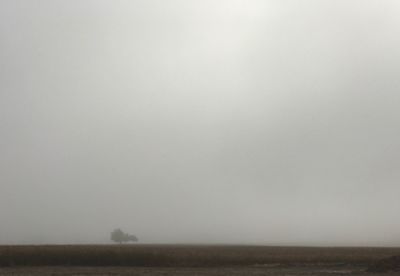 Scenic view of fog